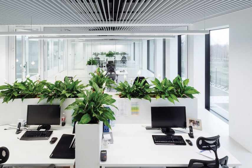 ConceptSystem 59Pa Finestre e CW 50-HI Facciate continue - Pivexin Technology Headquarter situato in Babice, Polonia