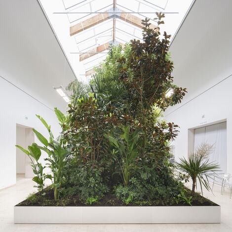 Building Biospheres di Bureau Bas Smets e Stefano Mancuso, Flanders Architecture Institute 2025 © Michiel De Cleene
