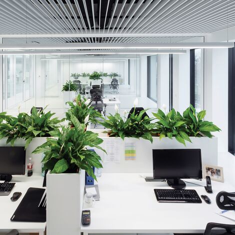 ConceptSystem 59Pa Finestre e CW 50-HI Facciate continue - Pivexin Technology Headquarter situato in Babice, Polonia