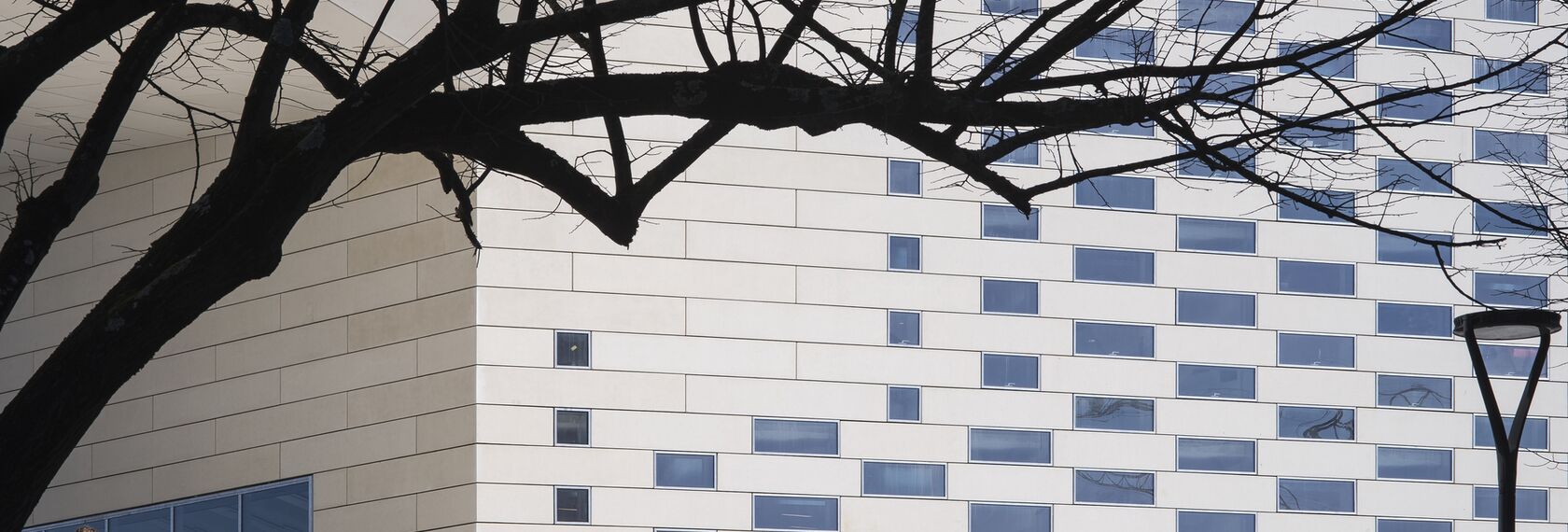 ConceptDoor 45Pa Porte, ConceptWall 86 Facciate continue, ConceptPatio 130 Sistemi scorrevoli e ConceptWall 50 Facciate continue - Entertainment MÉCA situato in Bordeaux, Francia